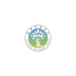 19.avif